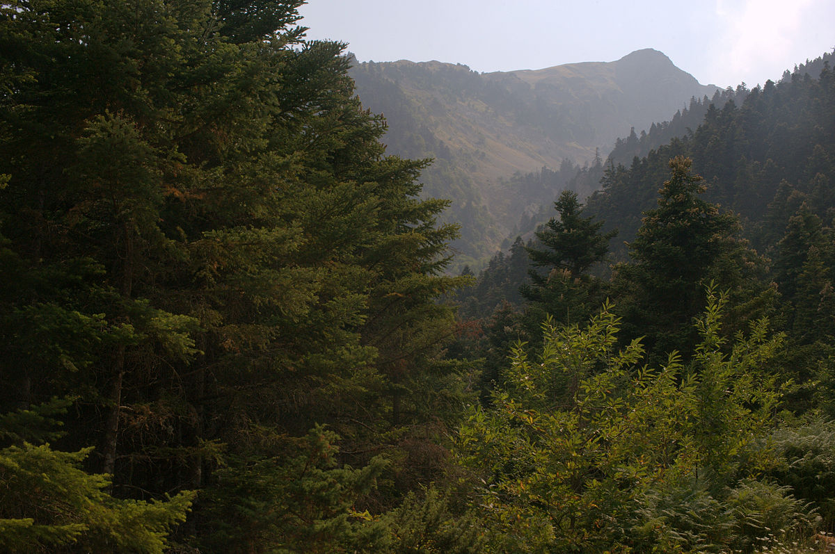 1200px 20100811 Mavrilo Veluxi Mountain Fthiotida Greece